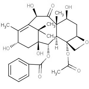 10-Deacetylbaccatin III