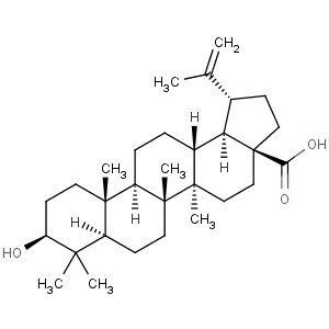 Betulinic Acid