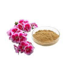 Pelargonium Sidoides Powdered Extract